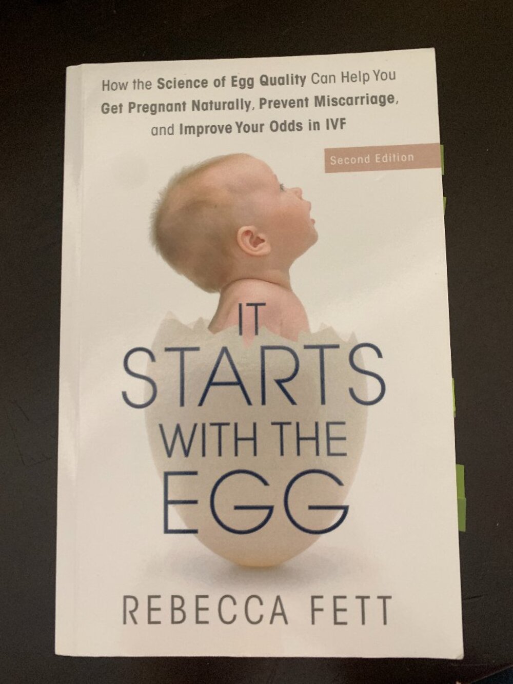 It Starts With The Egg by Rebecca Fett